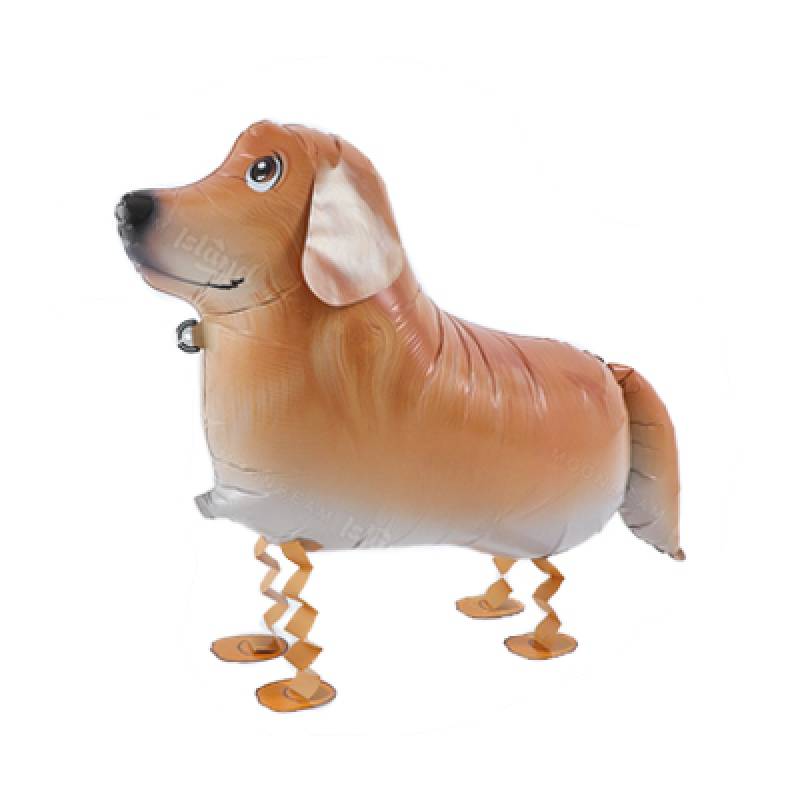 22" x 16" Delighted Dachshund Walking Pet Foil Balloon